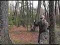 Predator Wars