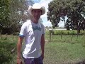 Reino encantado do Dario neto