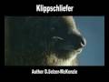 Klippschliefer Tiere Animals Natur SelMcKenzie Selzer-McKenzie
