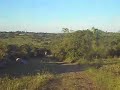 candango na serra de s�o miguel
