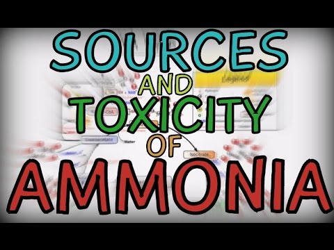 how to cure ammonia poisoning in goldfish