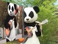 Eat Your Bamboo