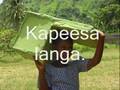 cancion-sudafricana