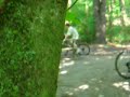 mtb racing