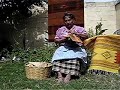 Wool Carding