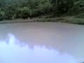 ikan patin pt2 (ikan tapah) FISHING