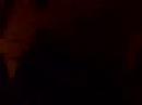New Years Party Video 7