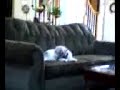 Cosmo gets hit with super tampon