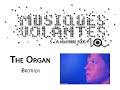 The Organ - Brother (Live Festival Musiques Volantes )