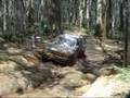 Toolangi 4WD Action