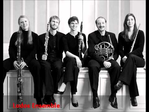 woodwind quintet - Piazzola Libertango for Wind Quintet, performed by the Lodos Ensemble.
