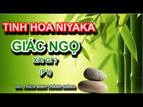 Tinh Hoa NIKAYA - Giác Ngộ Cái Gì? Phần 1