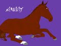 Horse Drawings (NEW)