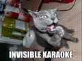 Funny Cats And Dogs!