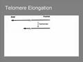 Transposons 4