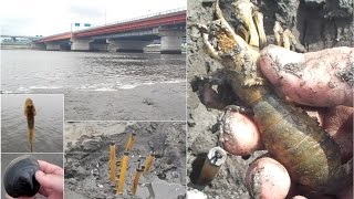 江戸川でアナジャコ捕り、河口の恵みまとめていただきます!
