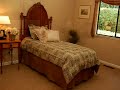 201 Carol Court Alamo, CA 94507