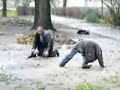 Doi betivi se chinuie sa se ridice din noroi :))))