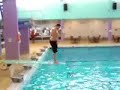 a-collection-of-stupid-videos.html