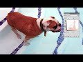 Lifehacker - Color Effects with Curves
