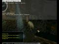 Neverwinter Nights 2 polymorph cheat
