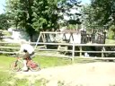 vandal society biking