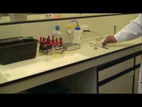 how to perform gram staining