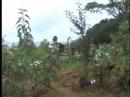 S�o Jo�o Sebasti�o, S�o Jos� e Patativa do Assar�