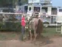 My Montage 9/4/08