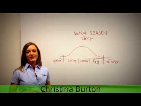 how to fertilize zoysia grass