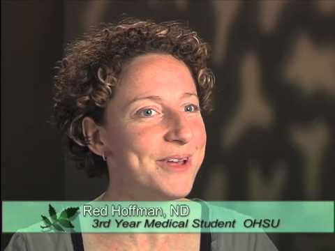 how to decide which medical schools to apply to