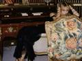 Kylie Minogue Someday - YouTube