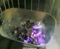 Forza Gnappe - I rostelli 1 Forza Gnappe - I rostelli 1