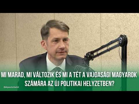 Napindító (SZMR) - Interjú dr. Pásztor Bálinttal, a VMSZ elnökével-cover