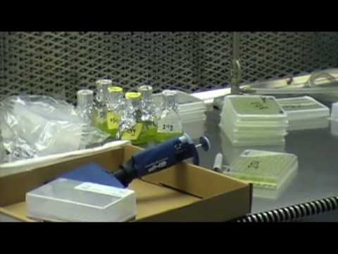 how to involve undergraduates in research