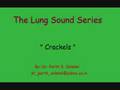 Breath Sounds - Crackels