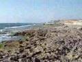 Ramat Aviv Netrual Beach-Mikvah