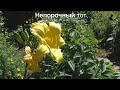 Беспорочность - Характер нового человека