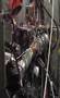 Cosworth YB Turbo on the Dyno