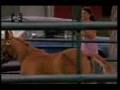 Wildfire-Kris and Junior 3x02 P1