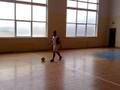 videos de Woja