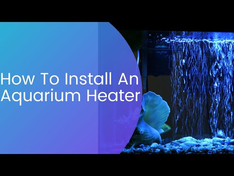 how to adjust fish tank heater