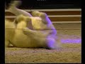 La Nuit du Cheval La Nuit du Cheval
