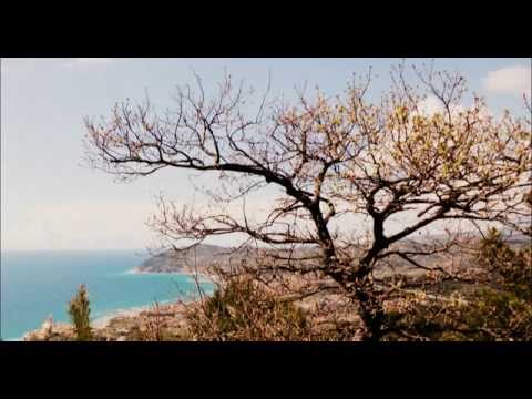 bird - Recording Audio with Rode VideoMic. Il suono degli uccelli al mattino presto. Bird vocalization includes both bird calls and bird songs. In non-technical use...