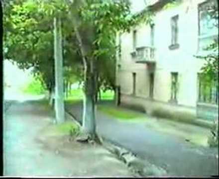 БЕЛЫЕ ЛЕБЕДИ