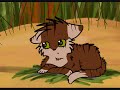 Crookedkit :(