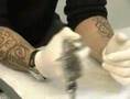 Artcorpus Tattoo Shop