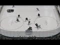 NHL 07 Bugs