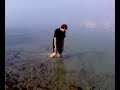D�vid �s t�rsai vs Balaton