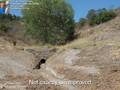 Bonsall Land for Sale